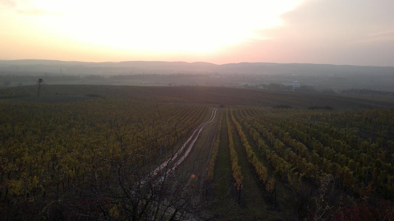 Appartamento Sommelierka Valtice Esterno foto